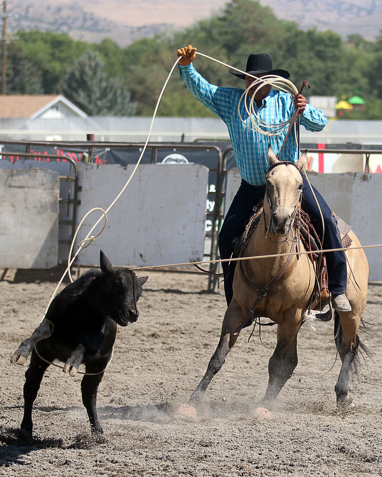 2018 Elko County Fair Open Branding Finals (4).JPG
